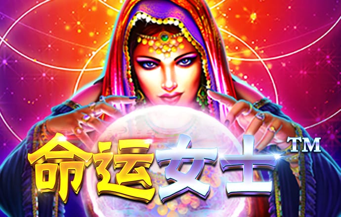 新澳门王中王资料公开