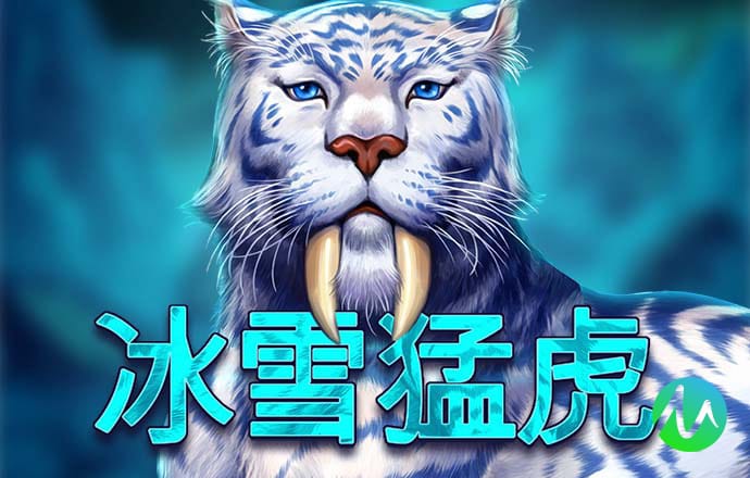 9球体育官网